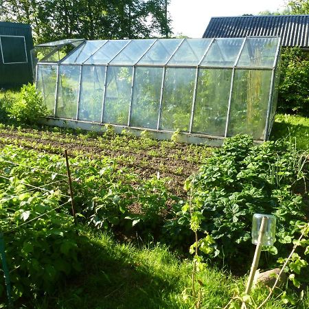 Traumhaftes Luxus-Ferienhaus Warnkenhagen  Bagian luar foto