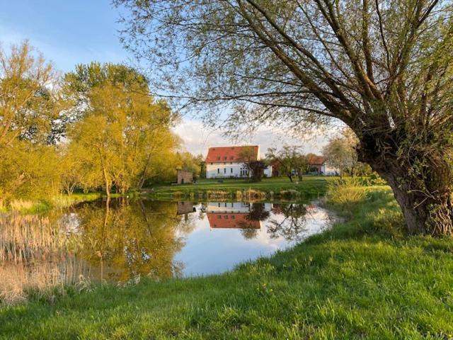 Traumhaftes Luxus-Ferienhaus Warnkenhagen  Bagian luar foto