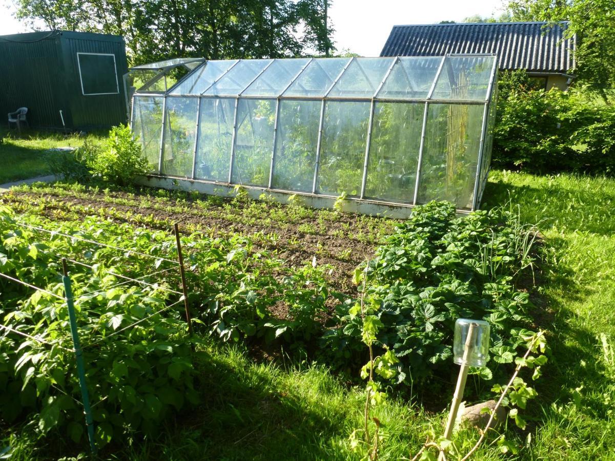 Traumhaftes Luxus-Ferienhaus Warnkenhagen  Bagian luar foto